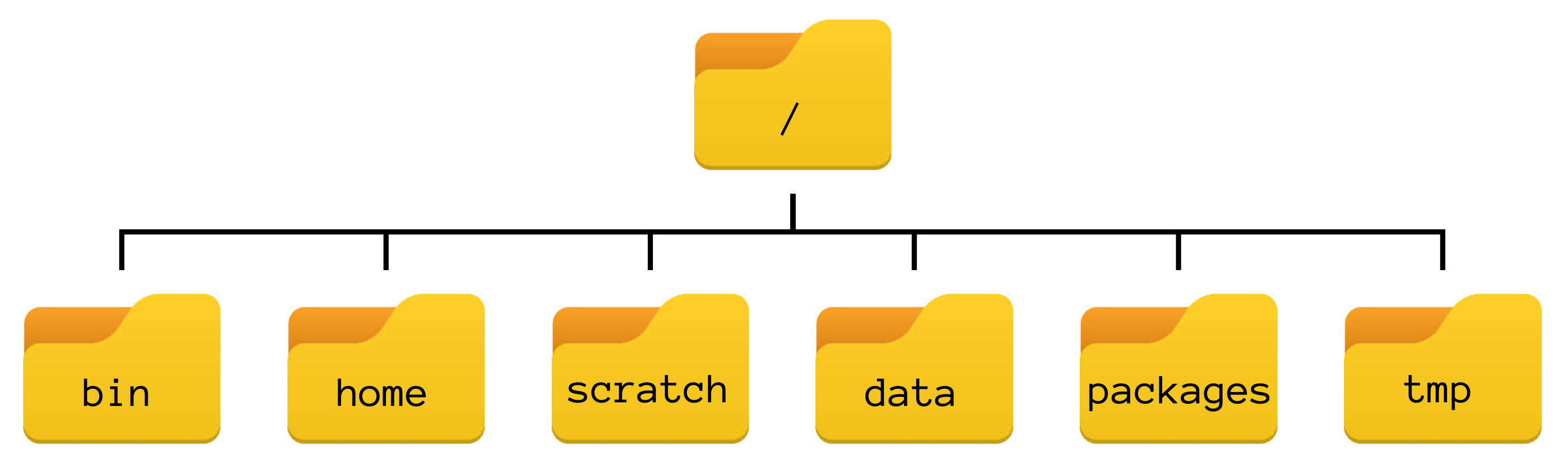 The file system is made up of a root directory that contains sub-directories
titled bin, data, home, scratch, packages, and tmp